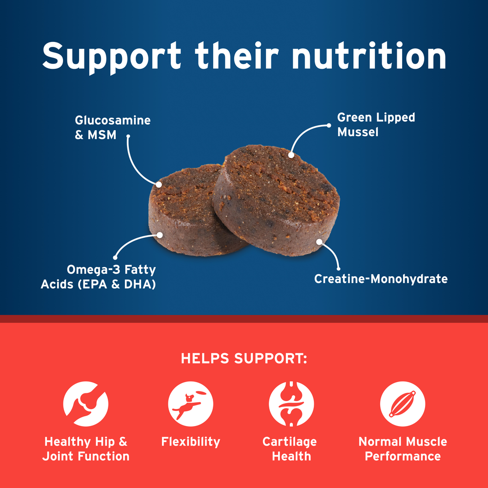 Synovi G3 Soft Chews Joint Supplement for Dogs