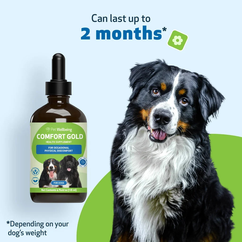 Comfort Gold for Occasional Physical Discomfort in Dogs, 4-oz
