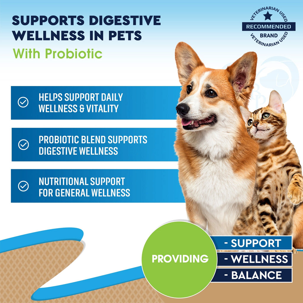 Beloved Pets Digestive Support with Probiotics for Dogs & Cats, 2-oz