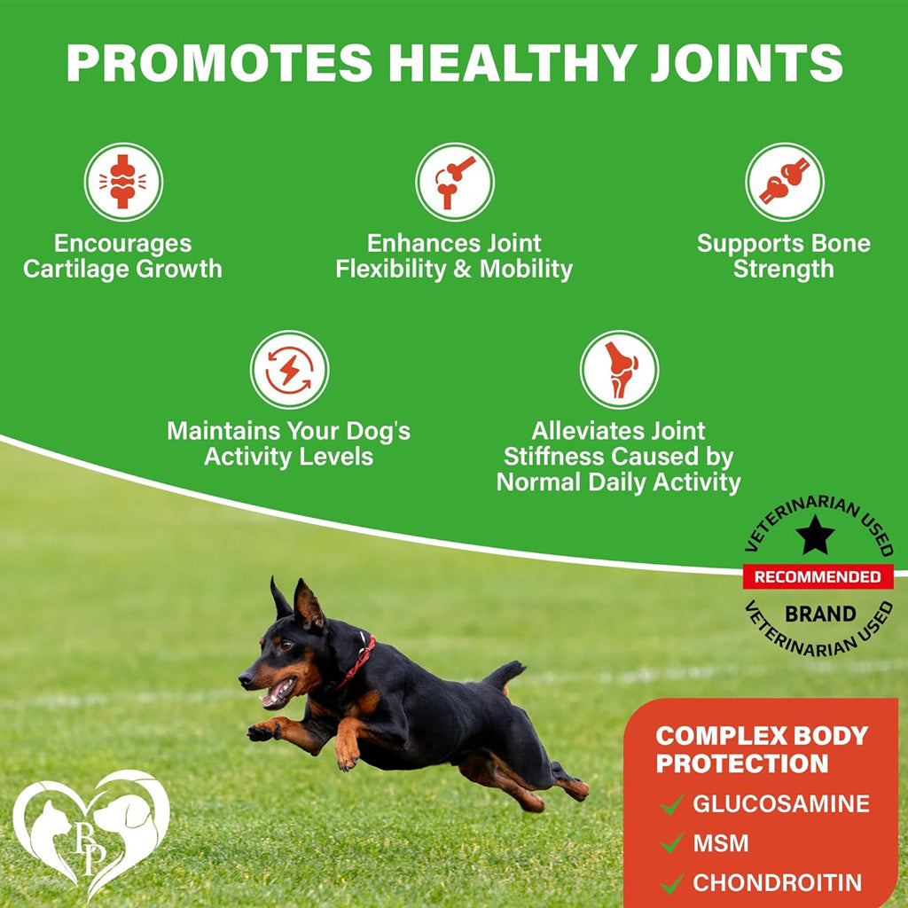 Beloved Pets Glucosamine Bacon Flavored Chews Hip & Joint Support Supplement for Dogs, 10-oz