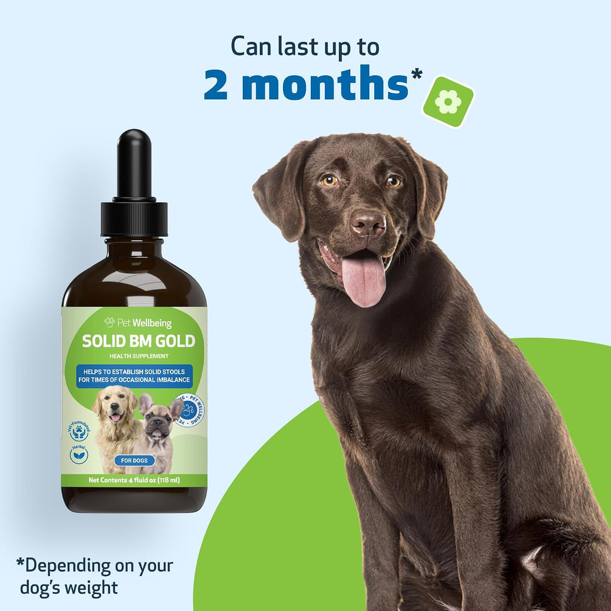 BM Tone-Up Gold for Loose Stools in Dogs