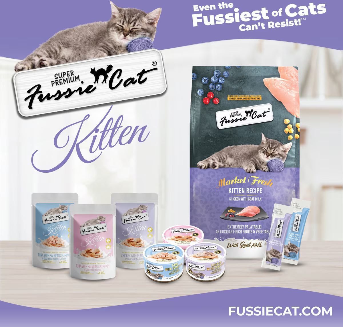 Fussie Cat Kitten Recipe Chicken with Pumpkin in Goat Milk Mousse & Shreds, 24-pack
