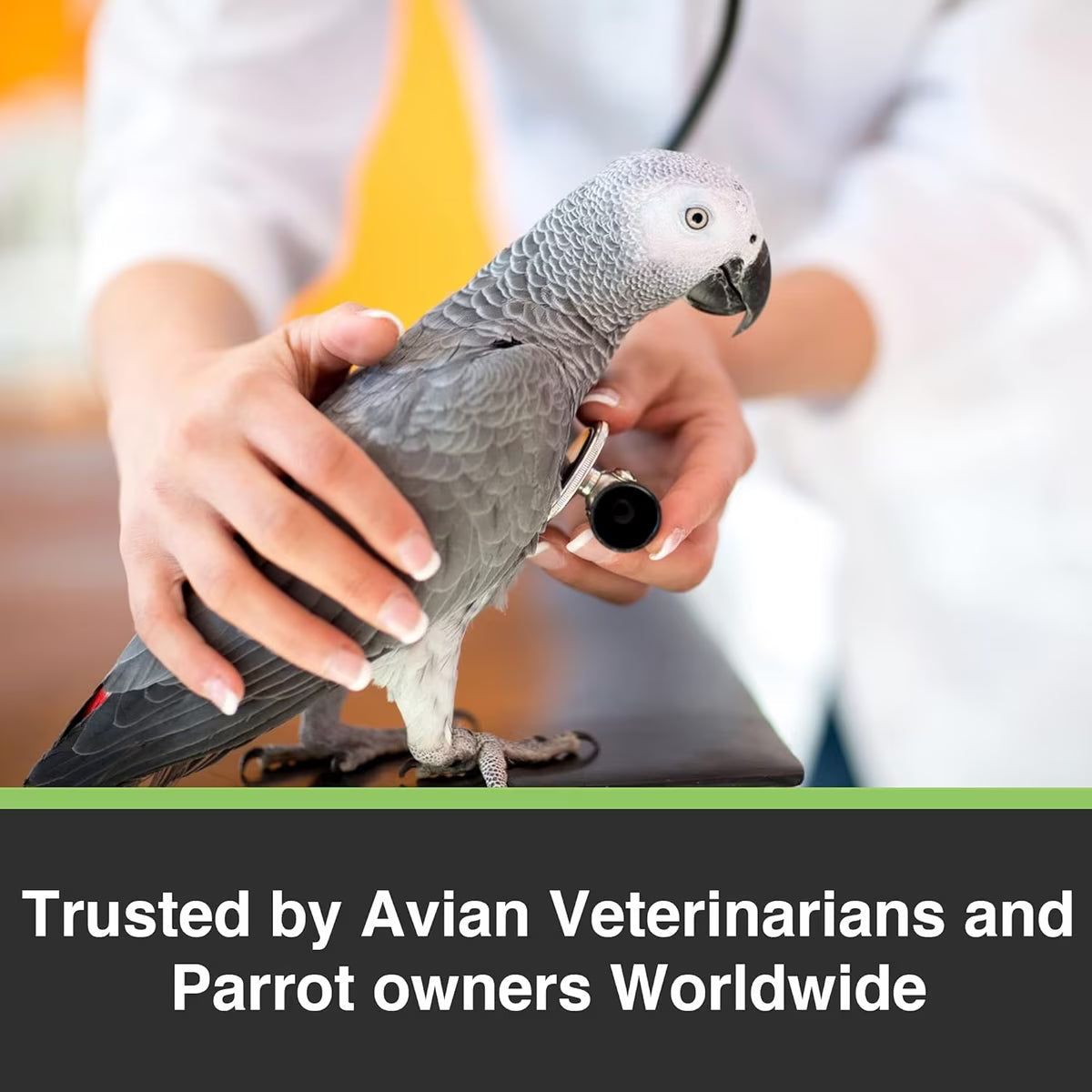 Hari Tropimic for Small Parrots, 4-lb