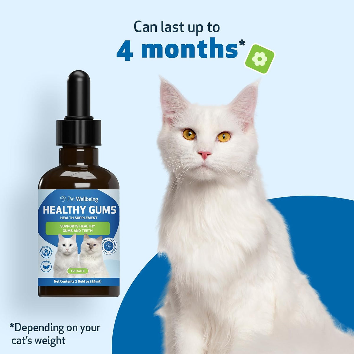 Healthy Gums for Feline Periodontal Health