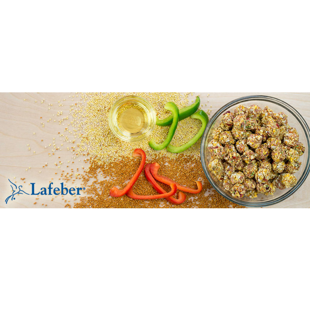 Lafeber El Paso Nutri-Berries Parrot Food (10 oz)