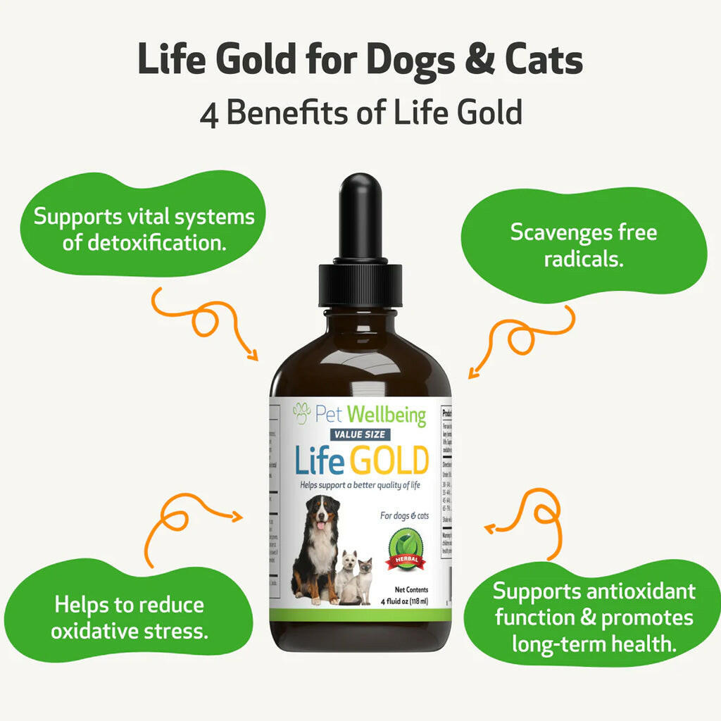 Life Gold - Trusted Care for Dog Cancer (4 oz)