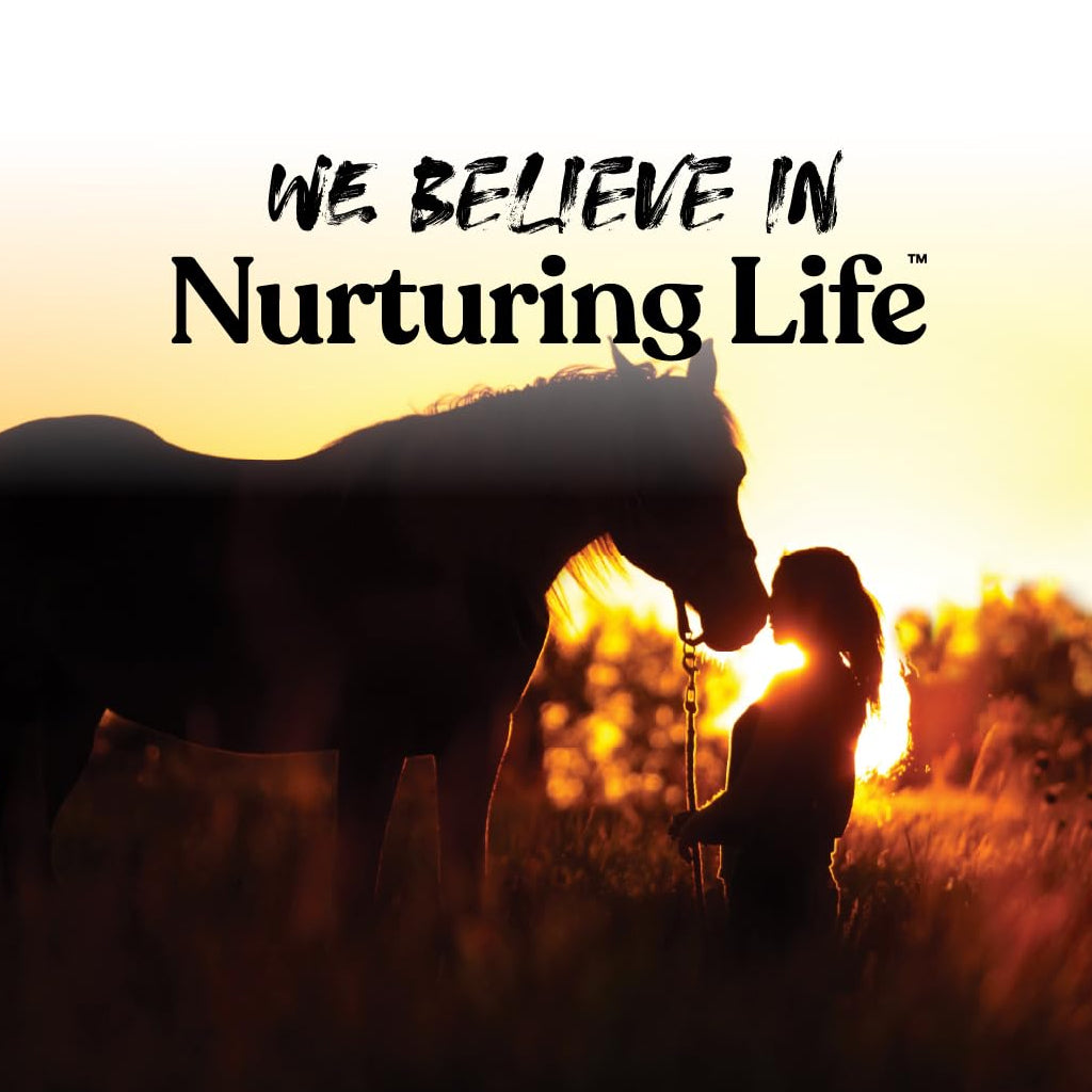Manna Pro Apple Bite-Sized Nugget Treats for Horses