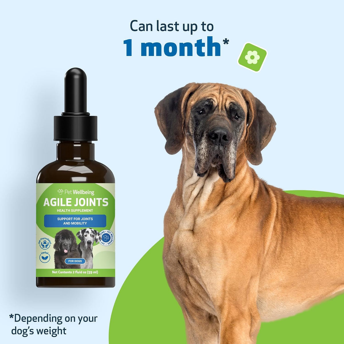 Pet Wellbeing- Agile Joints for Dog Joint Mobility