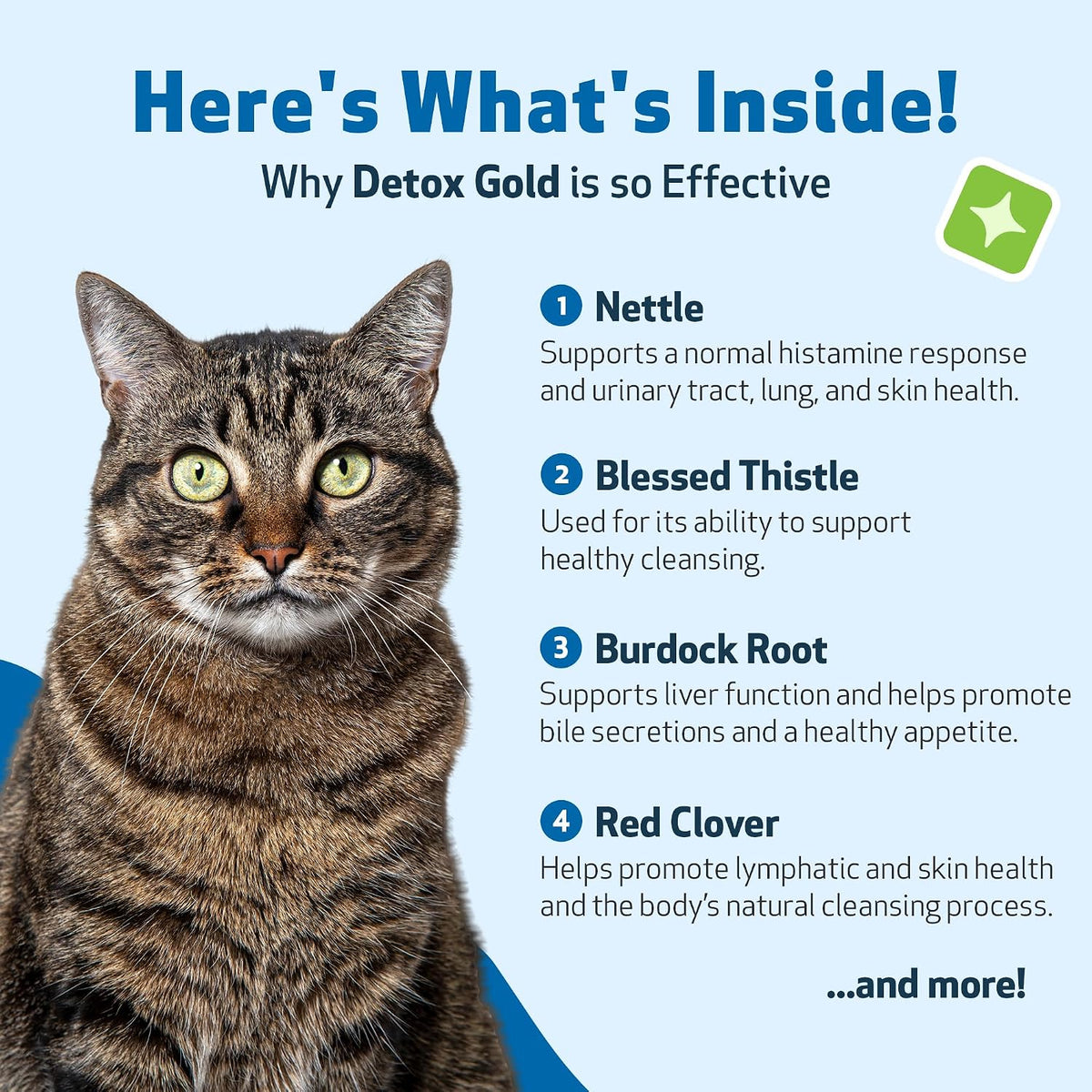 Pet Wellbeing Detox Gold for Cats, 2-oz