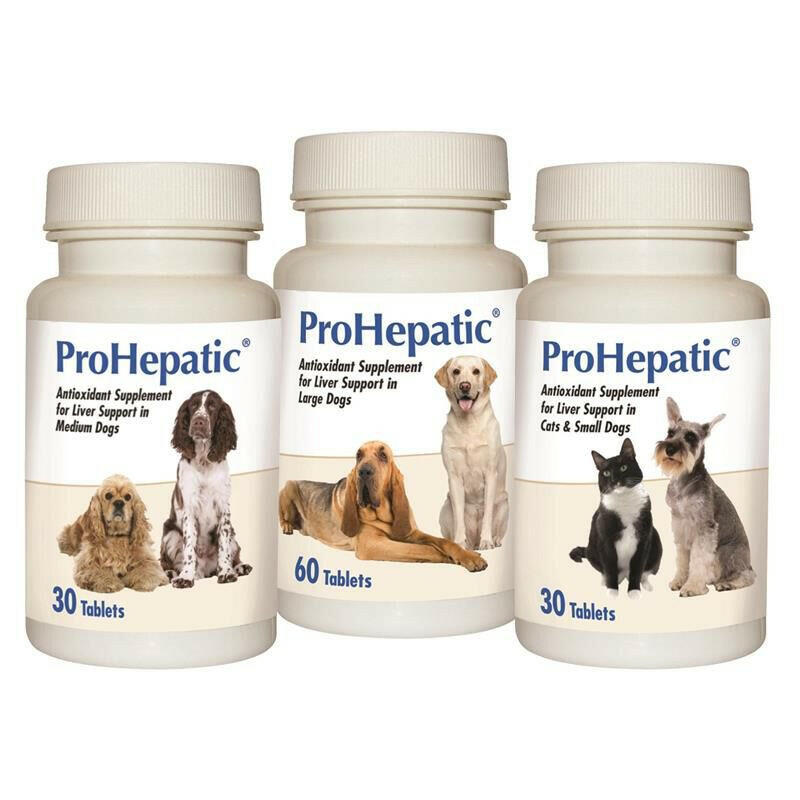 ProHepatic Liver Support Supplement for Large Dogs