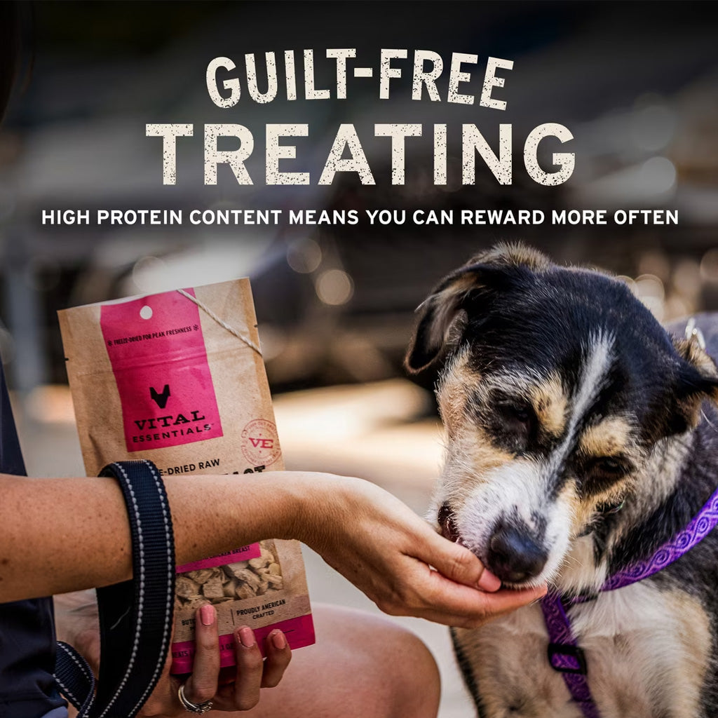 Vital Essentials Freeze-Dried Turkey Giblets Treats for Dogs, 2-oz