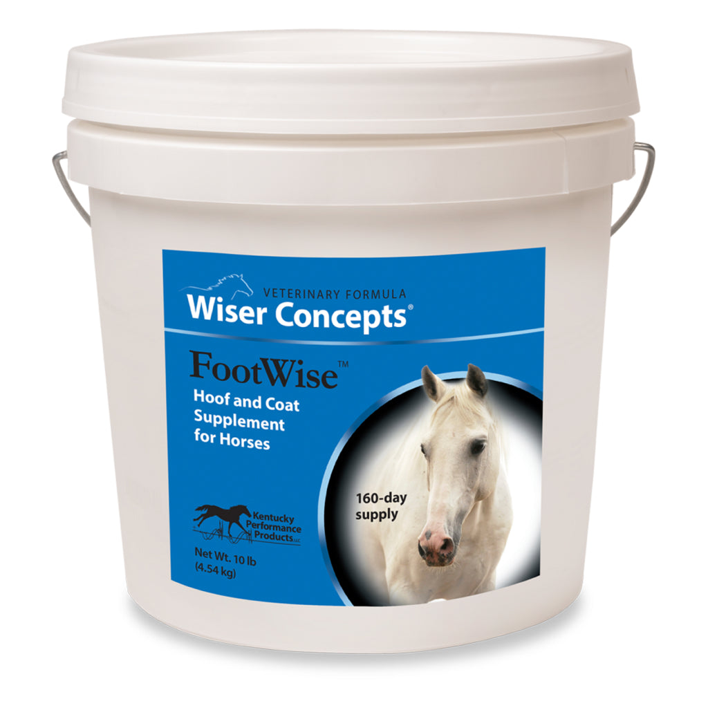 Wiser Concepts FootWise Hoof & Coat Support for Horses