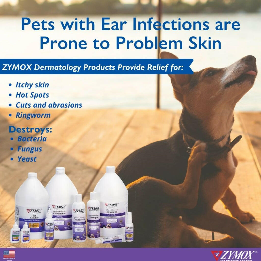 Zymox Advanced Enzymatic Oatmeal Cat & Dog Shampoo