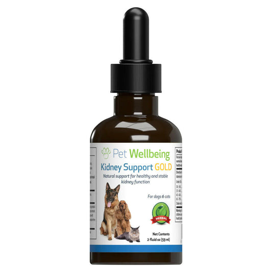 Pet Wellbeing Kidney Support Gold for Dogs & Cats