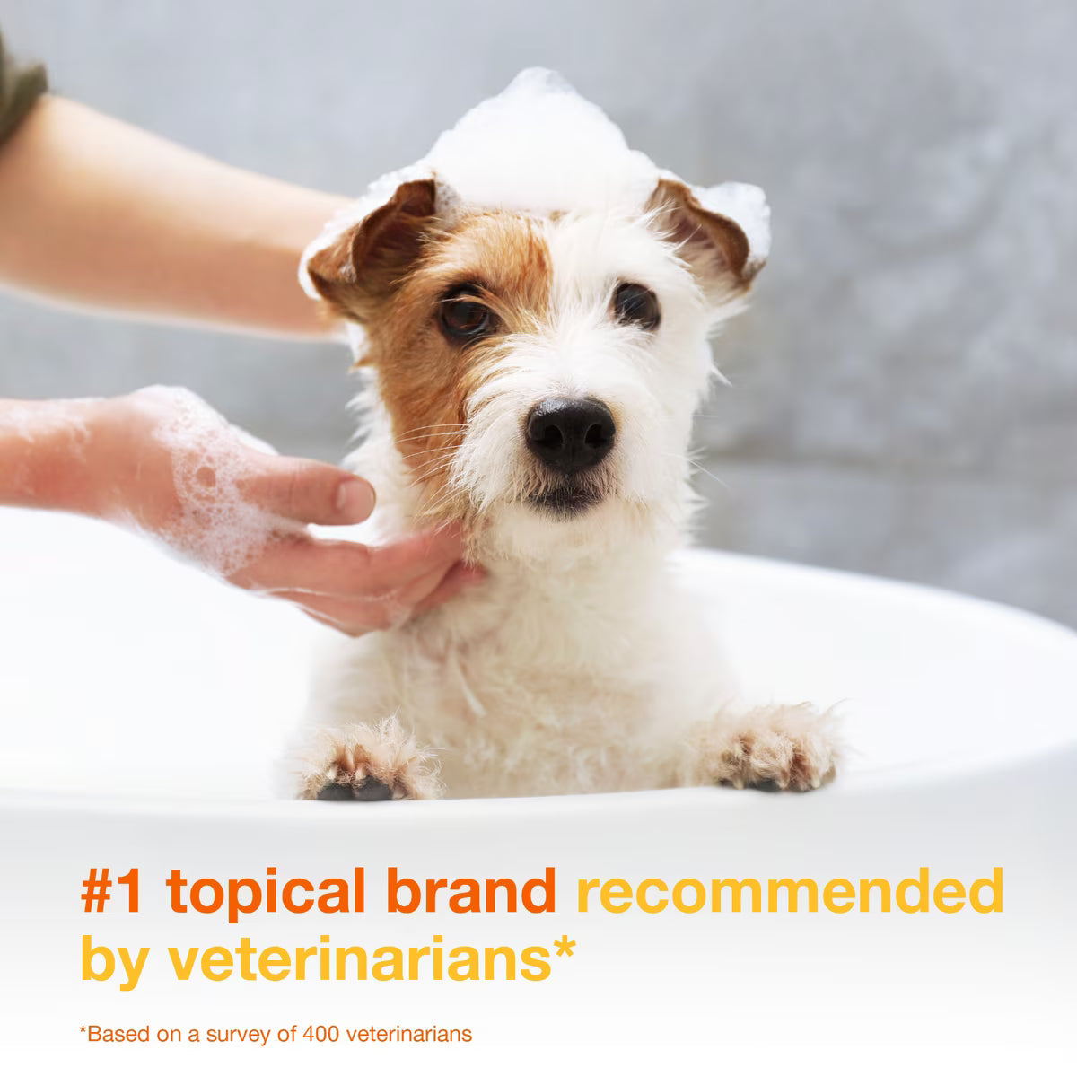 Douxo S3 PYO Antiseptic Antifungal Chlorhexidine Dog & Cat Shampoo