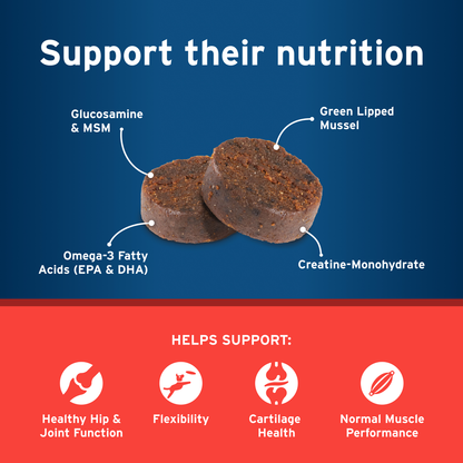 Synovi G3 Soft Chews Joint Supplement for Dogs
