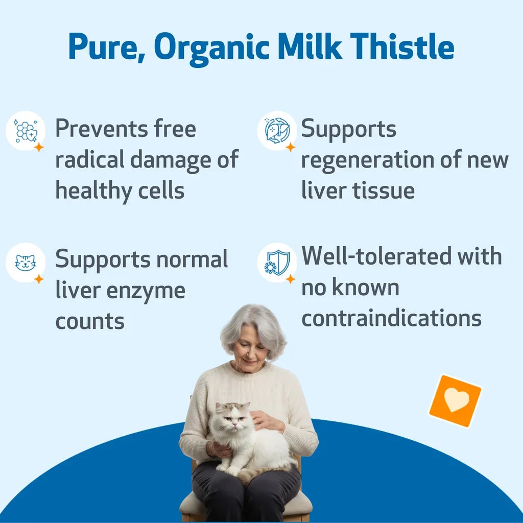 Milk Thistle - for Healthy Liver Function in Cats