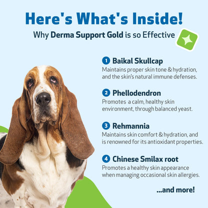 Derma Support Gold for Dogs Healthy Coat, Odor & Itching (2 oz)
