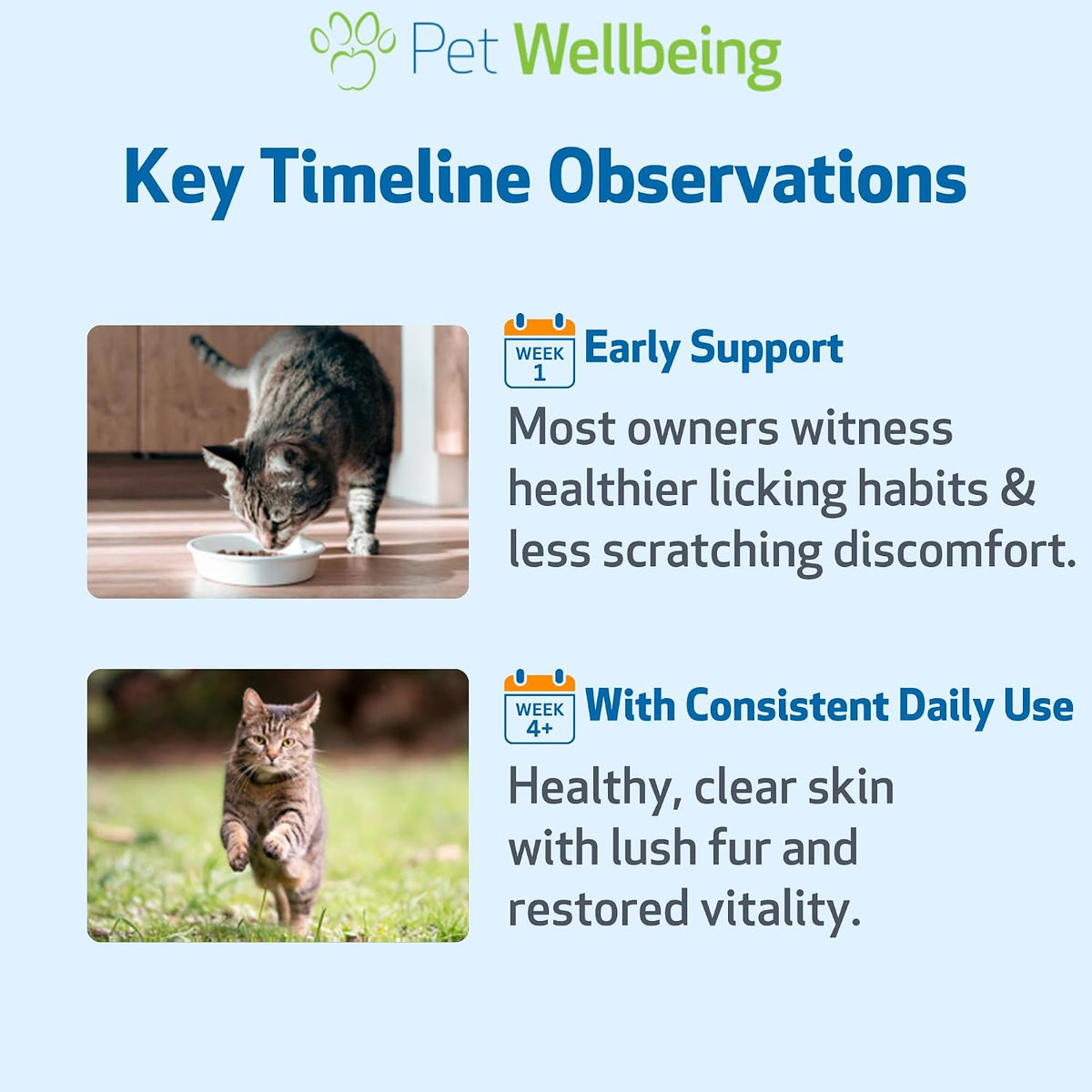 Itch Support Gold - For Allergy-Related Itch in Cats