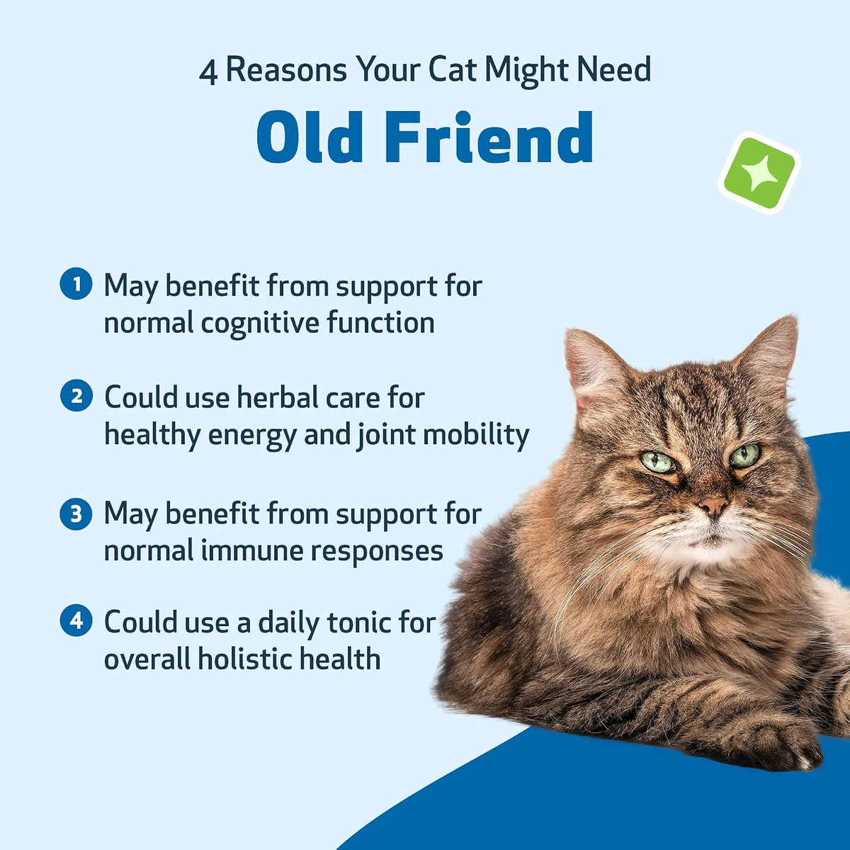 Pet Wellbeing Old Friend for Senior Cats
