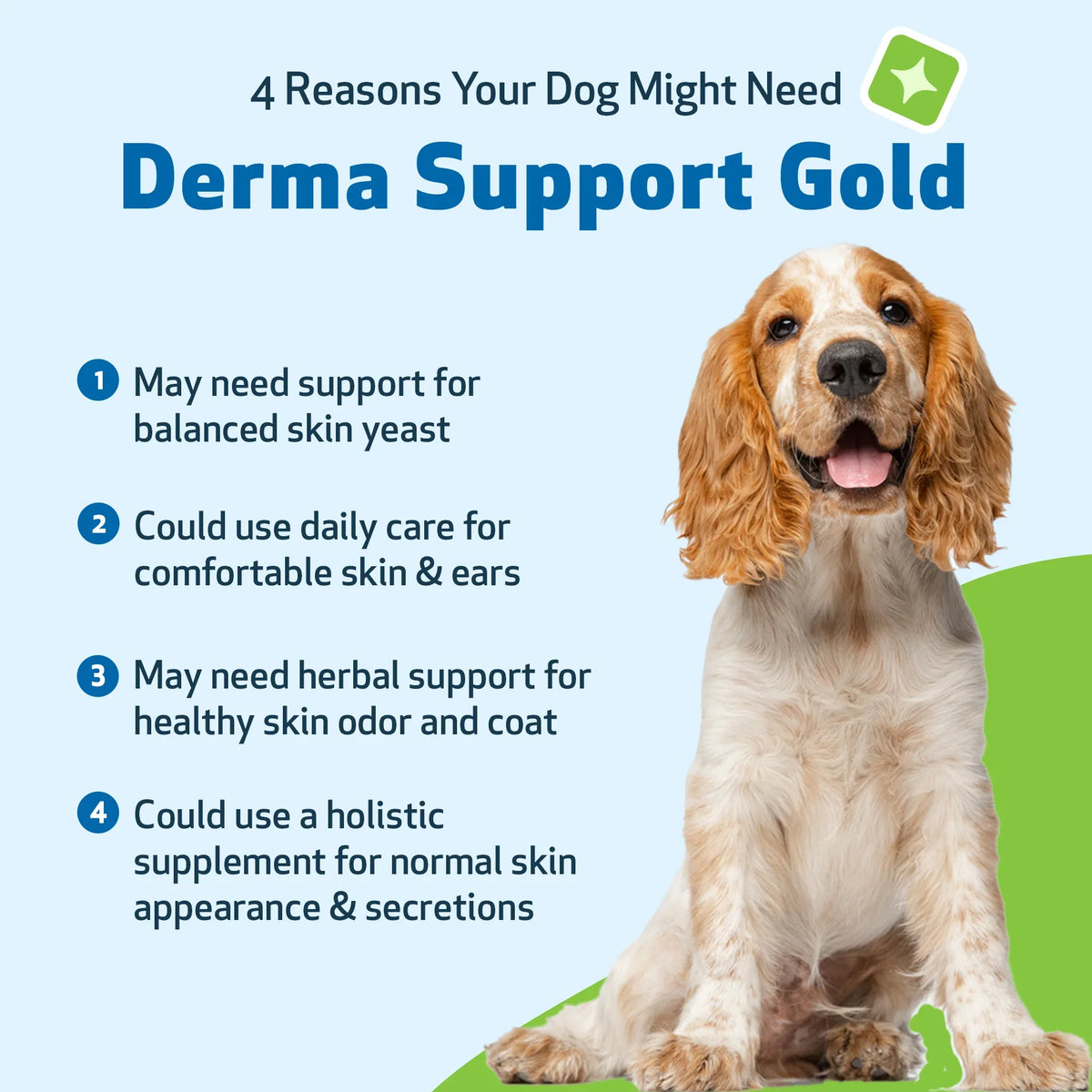 Derma Support Gold for Dogs Healthy Coat, Odor & Itching (2 oz)