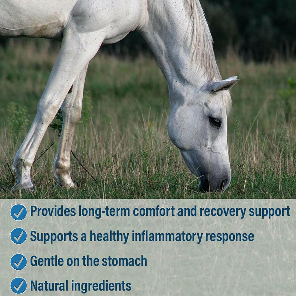 Absorbine Bute-Less Comfort & Recovery Supplement Paste for Horses (3 doses)