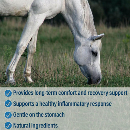 Absorbine Bute-Less Comfort & Recovery Supplement Paste for Horses (3 doses)