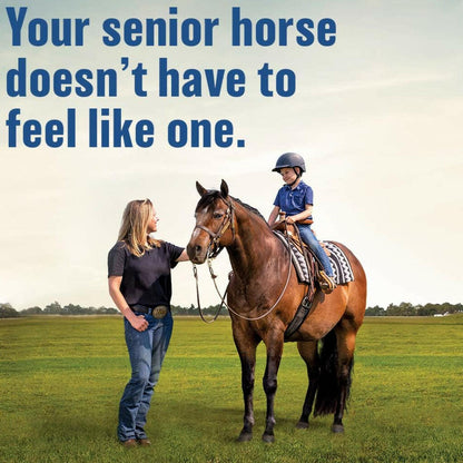 Absorbine Bute-Less Comfort & Recovery Supplement Paste for Horses (3 doses)