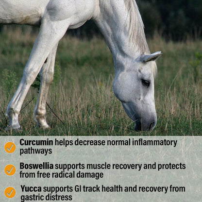 Absorbine Bute-Less Performance Comfort & Recovery Pellets for Horses (3.75 lbs)
