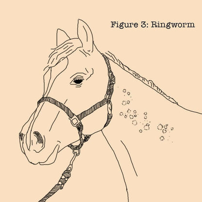 Absorbine Fungasol Spray for Horses (22 oz)