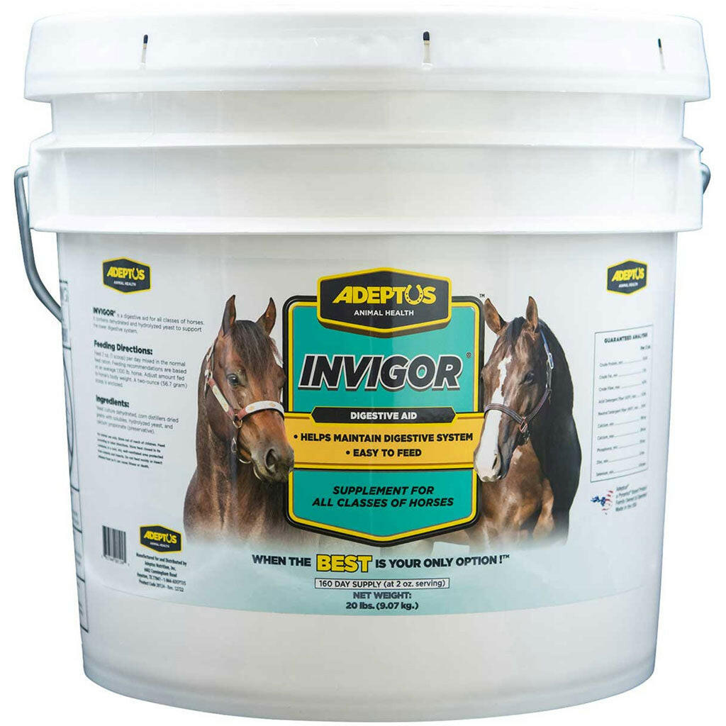 Adeptus Invigor Prebiotic Digestion Supplement for Horses