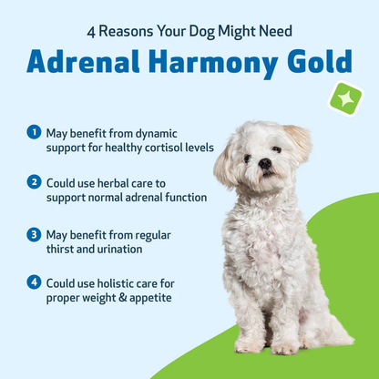 Adrenal Harmony Gold for Cushing's Disease in Dogs