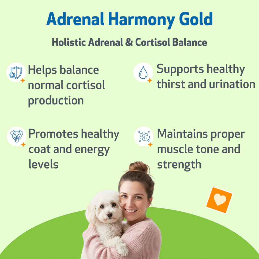 Adrenal Harmony Gold for Cushing's Disease in Dogs