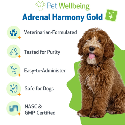 Adrenal Harmony Gold for Cushing's Disease in Dogs