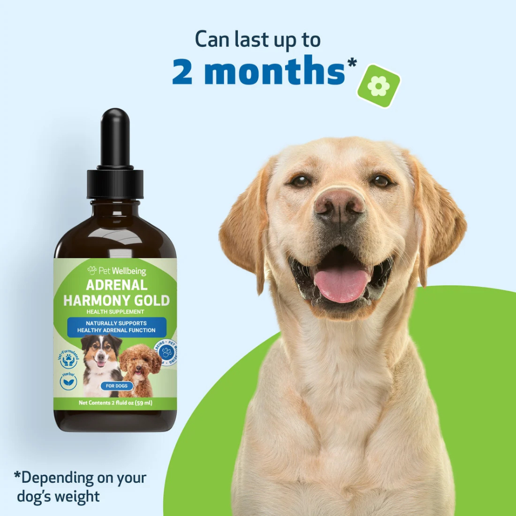 Adrenal Harmony Gold for Cushing's Disease in Dogs