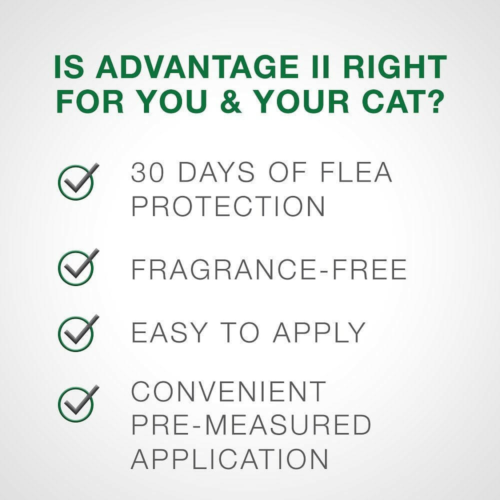 Advantage II Flea Control for Large Cats (Over 9 lbs) Purple Box
