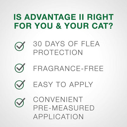 Advantage II Flea Control for Large Cats (Over 9 lbs) Purple Box