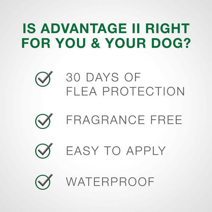 Advantage II Flea Control for Medium Dogs (11-20 lbs) Teal Box