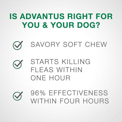 Advantus Oral Flea Treatment (23-110 lbs)