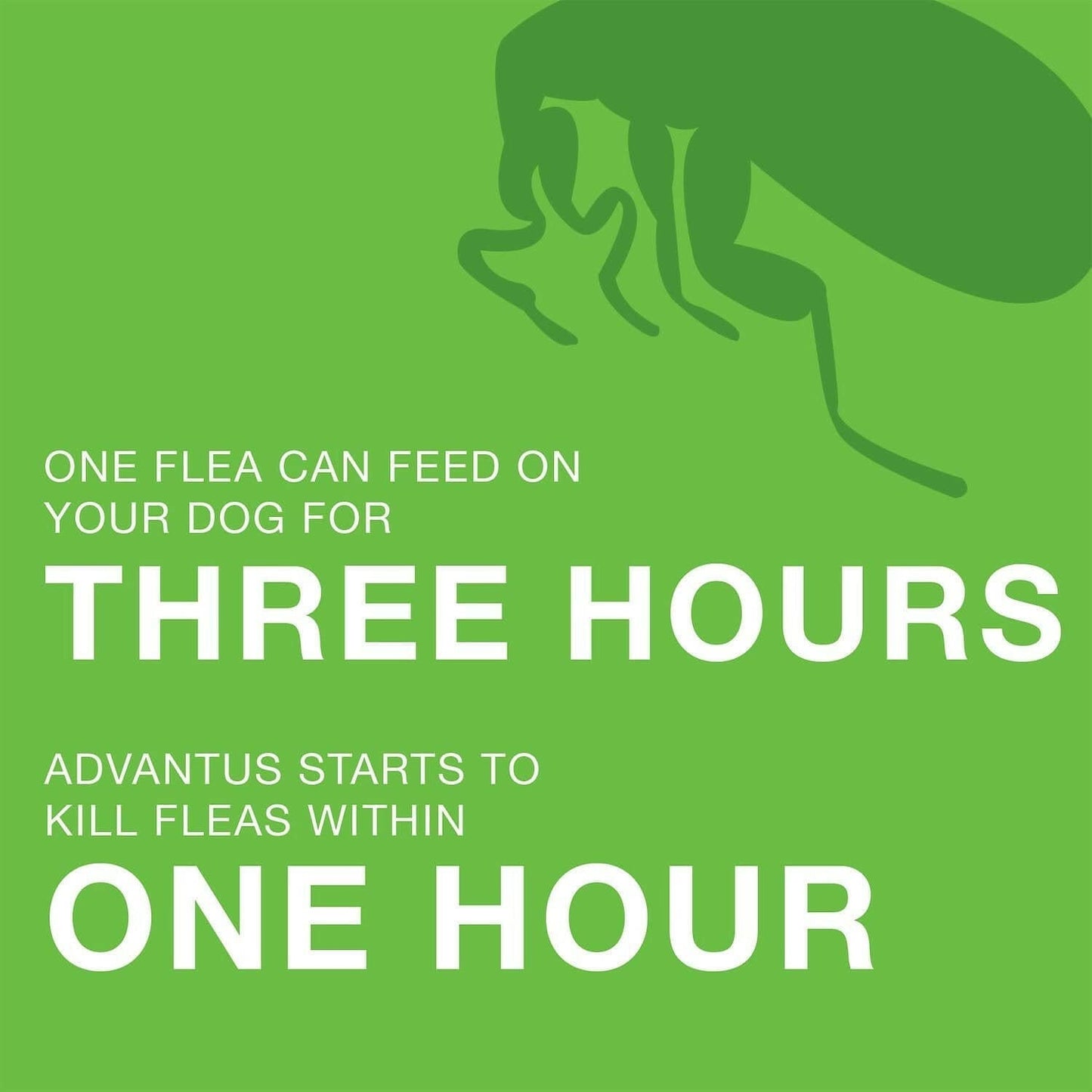 Advantus Oral Flea Treatment (23-110 lbs)