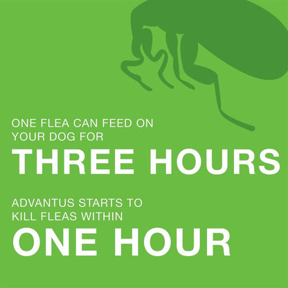 Advantus Oral Flea Treatment (23-110 lbs)