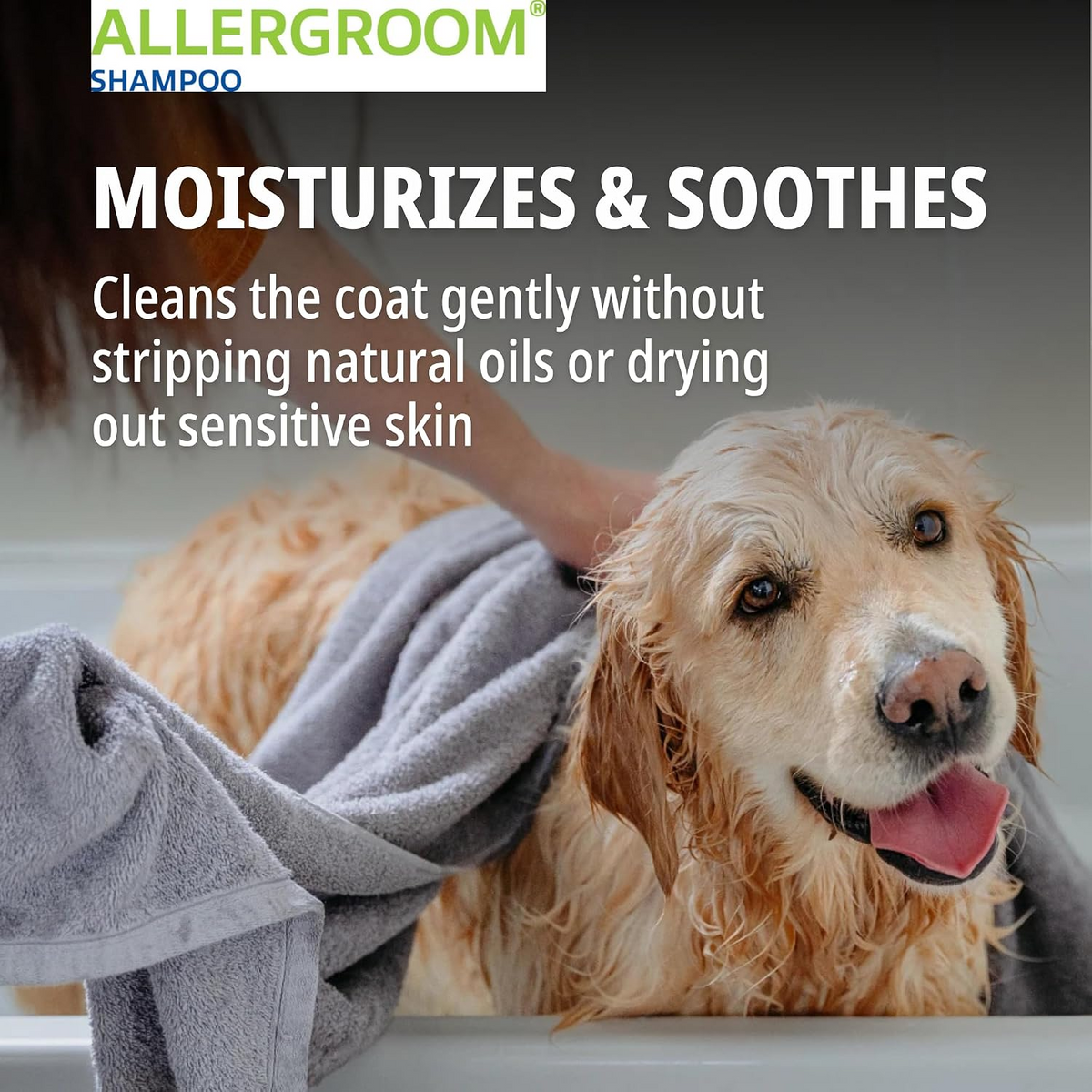 Allergroom Moisturizing Shampoo for Dogs, Cats & Horses