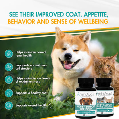 AminAvast Kidney Support Capsules for Cats - 60 Capsules