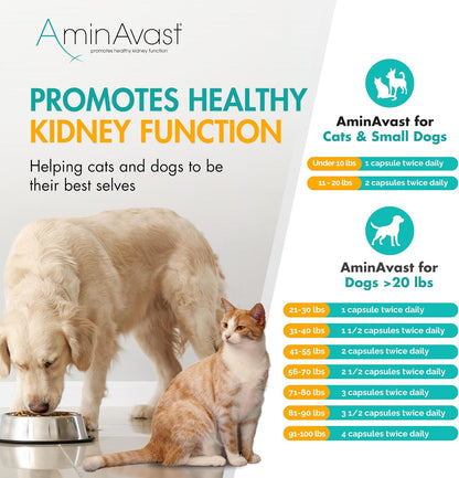 AminAvast Kidney Support Capsules for Cats - 60 Capsules