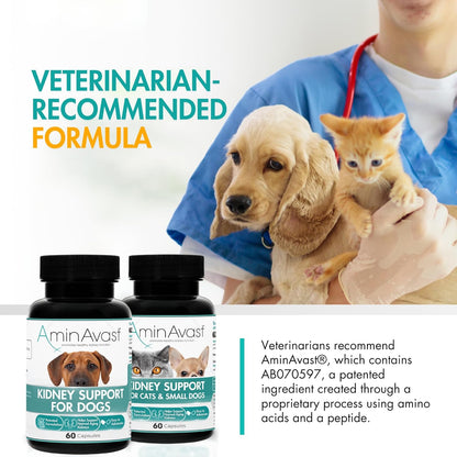 AminAvast Kidney Support Capsules for Cats - 60 Capsules
