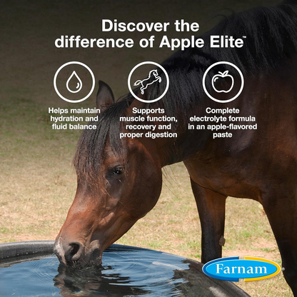 Apple Elite Electrolyte Paste Horse Supplement (60 ml)