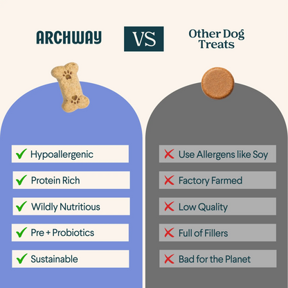 Archway Better Biscuit Peanut Butter Crunchy Dog Treats, 5-oz