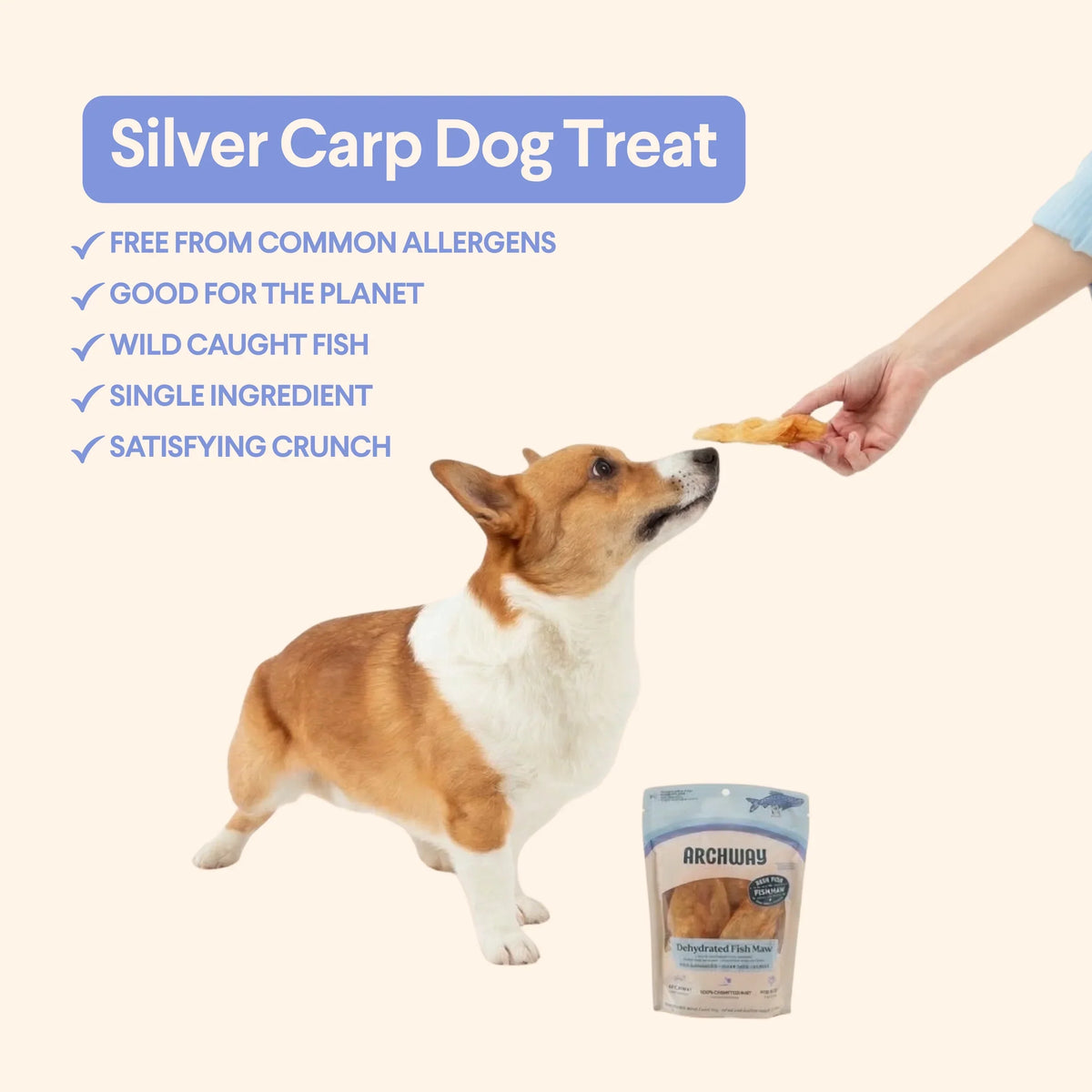 Archway Single Ingredient Silver Carp Fish Maw Natural Dog Chew Treat, 2.5-oz