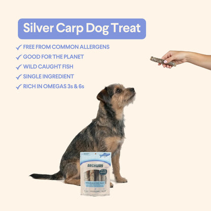 Archway Single Ingredient Silver Carp Rolled Skin Natural Dog Chew Treat, 2-oz