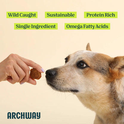 Archway Single Ingredient Sustainable Fish Dehydrated Dog Treats, 2.5-oz